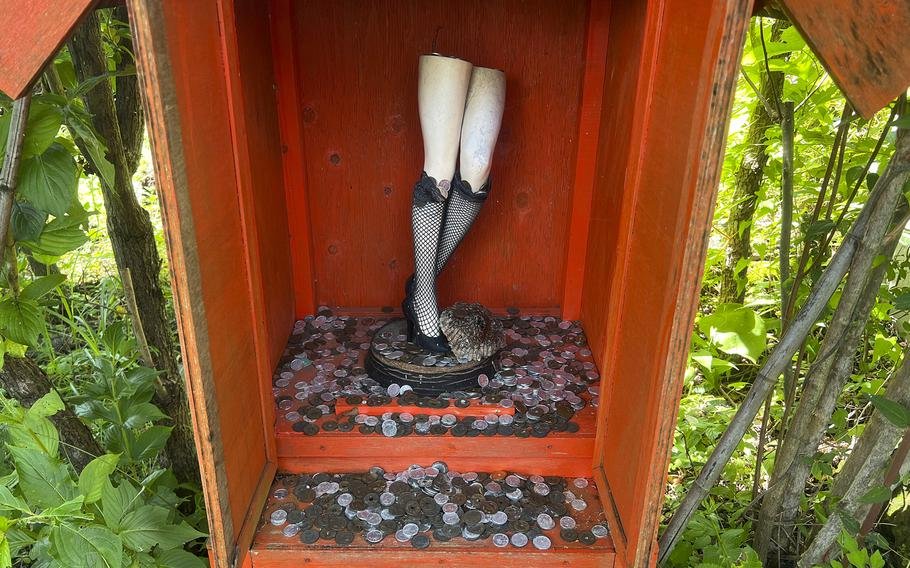 👽 환상의 박람회(마보로시 하쿠란카이) 이미지 3